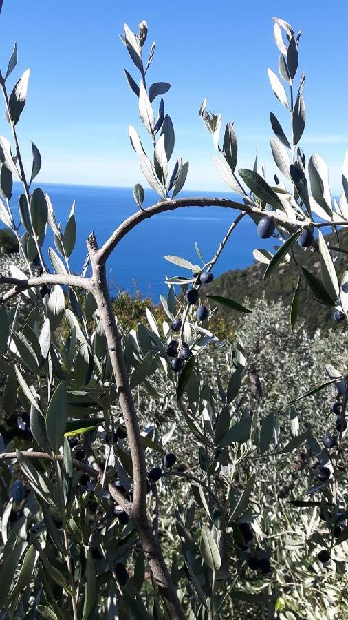 Case Vacanza Reggimonti Cinque Terre Бонассола Экстерьер фото