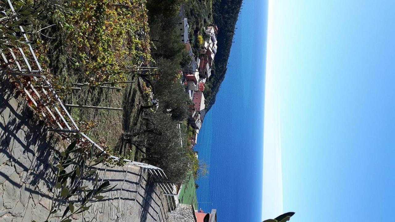 Case Vacanza Reggimonti Cinque Terre Бонассола Экстерьер фото